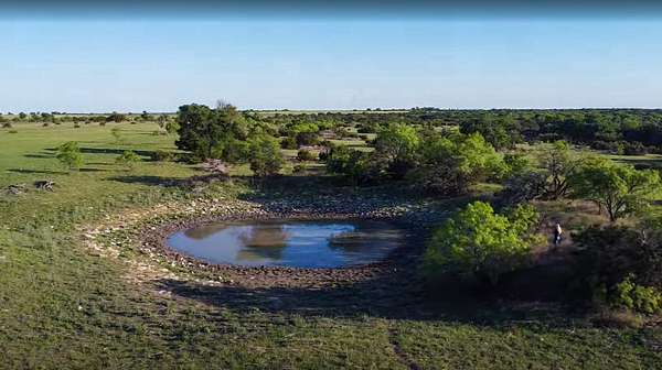 46.5 Acres of Land for Sale in Gatesville, Texas