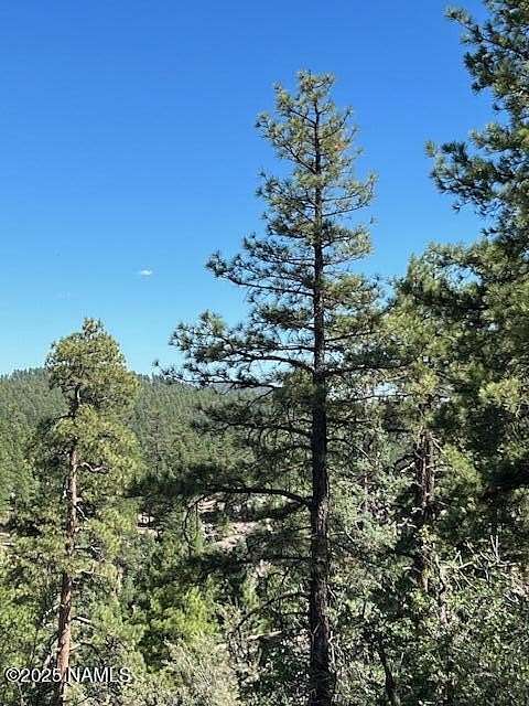 5.54 Acres of Residential Land for Sale in Williams, Arizona