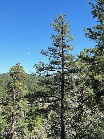 5.54 Acres of Residential Land for Sale in Williams, Arizona