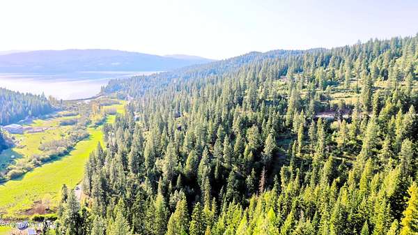 13.3 Acres of Land for Sale in Harrison, Idaho