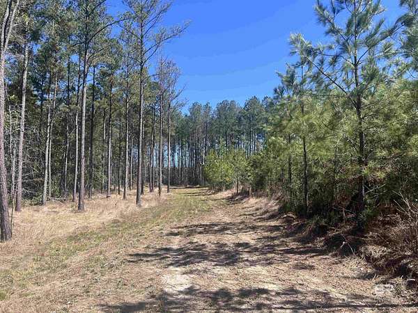 7.5 Acres of Residential Land for Sale in Atmore, Alabama