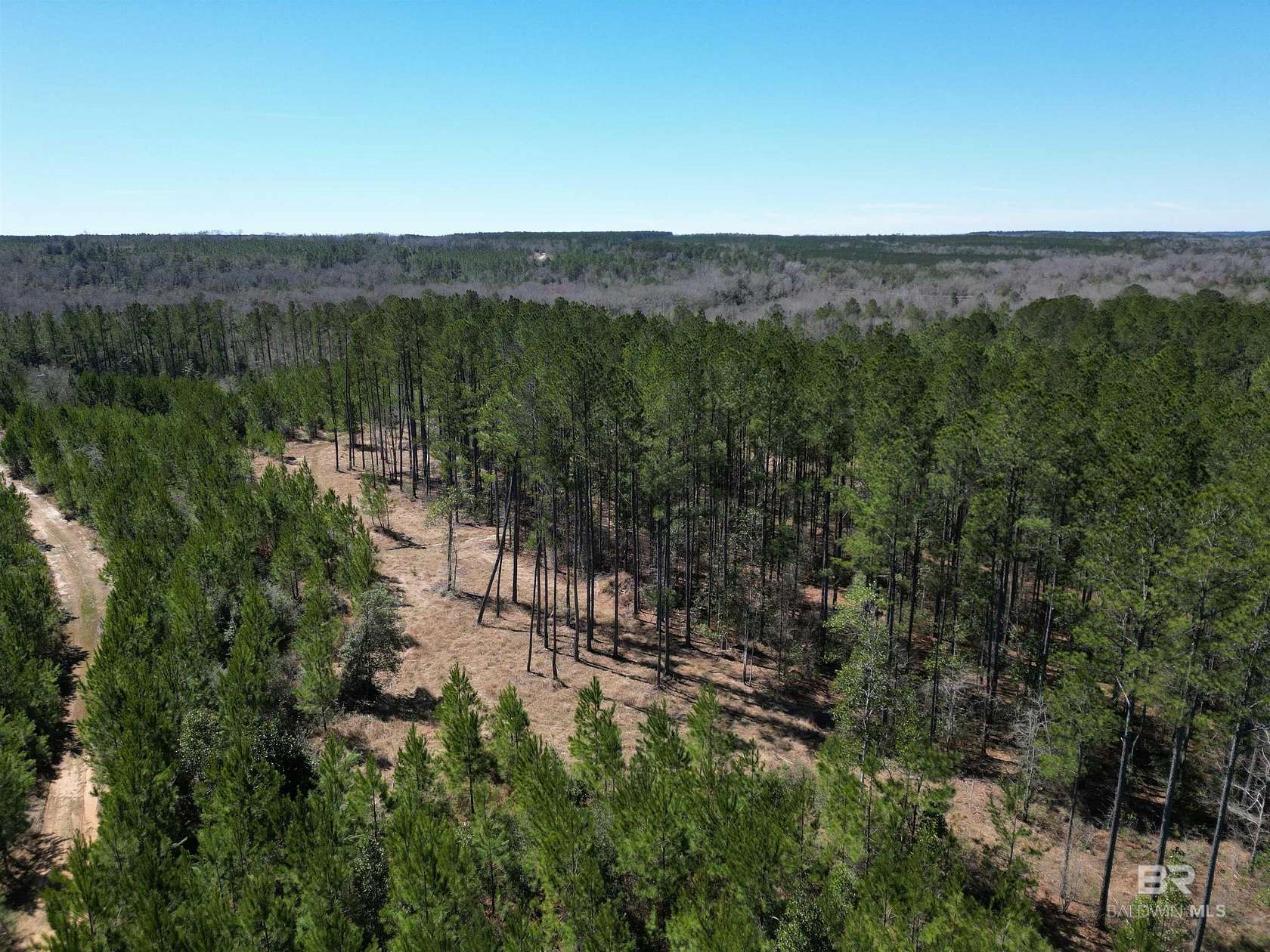 7.5 Acres of Residential Land for Sale in Atmore, Alabama