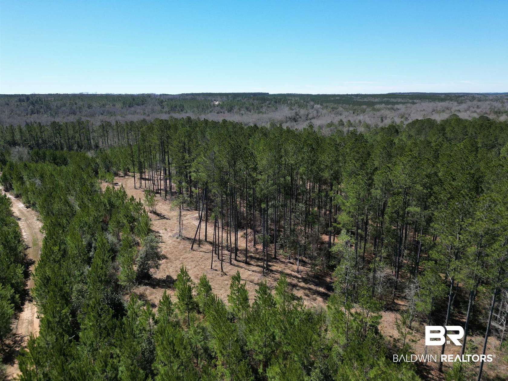7.5 Acres of Residential Land for Sale in Atmore, Alabama