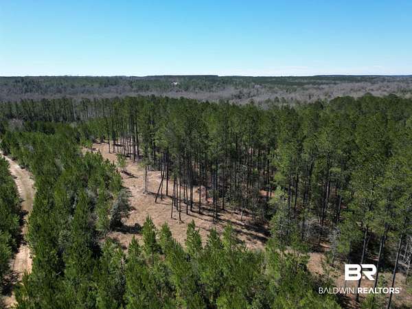 7.5 Acres of Residential Land for Sale in Atmore, Alabama