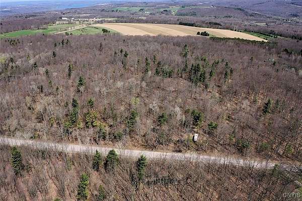 30.5 Acres of Recreational Land for Sale in Dansville, New York