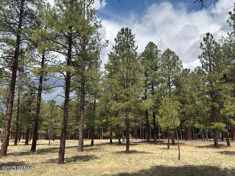 2 Acres of Residential Land for Sale in Flagstaff, Arizona