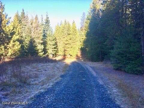 5 Acres of Land for Sale in Fernwood, Idaho