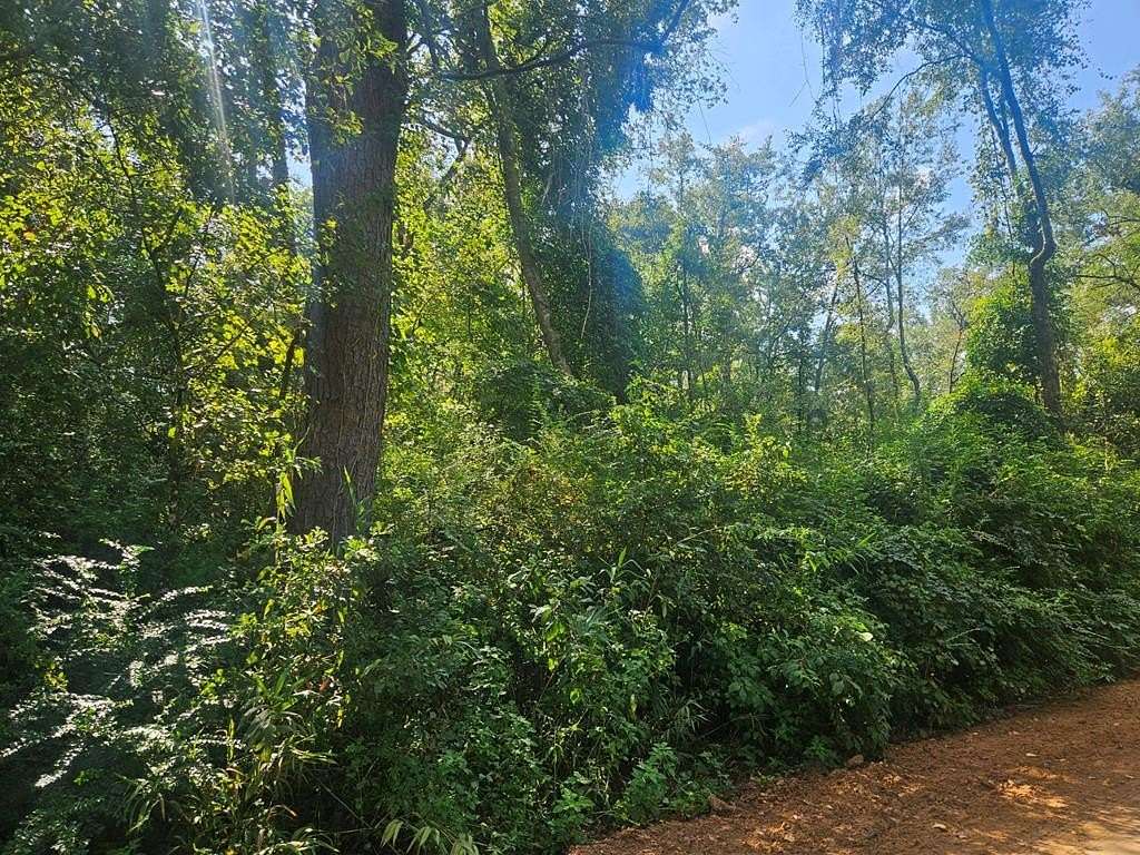 23.3 Acres of Recreational Land for Sale in Ray City, Georgia