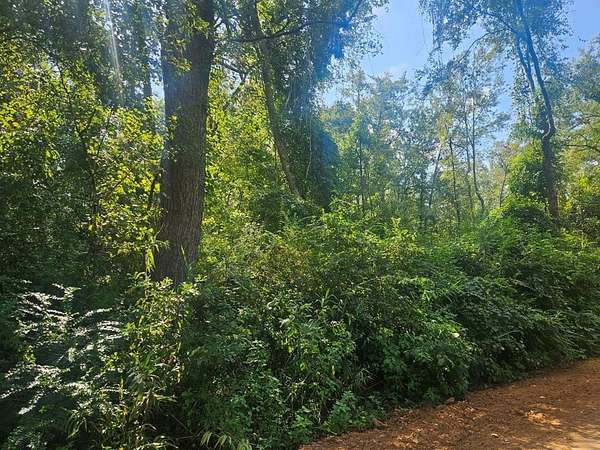 23.3 Acres of Recreational Land for Sale in Ray City, Georgia