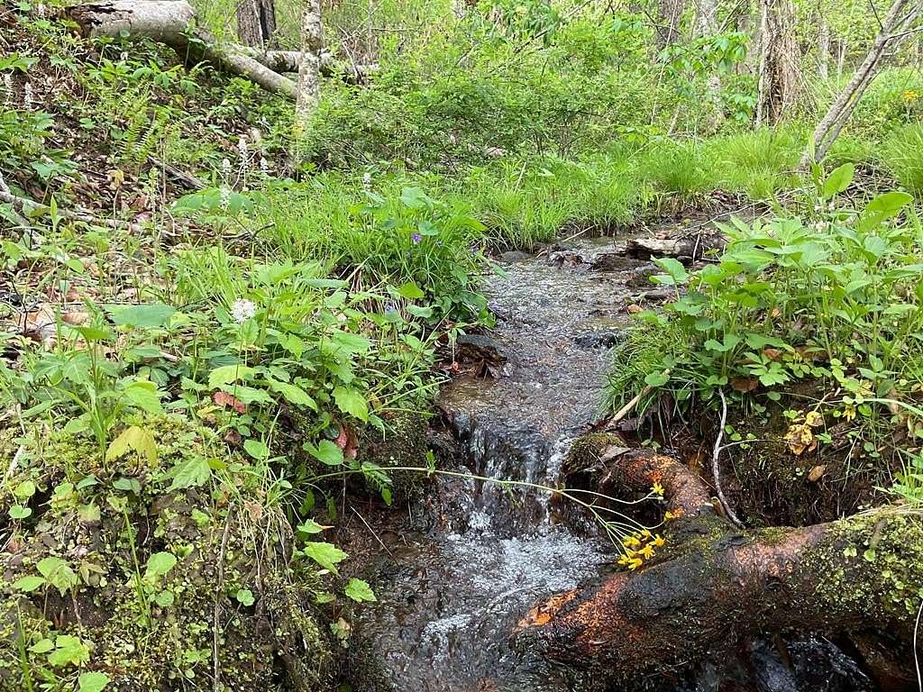 2.26 Acres of Land for Sale in Cullowhee, North Carolina