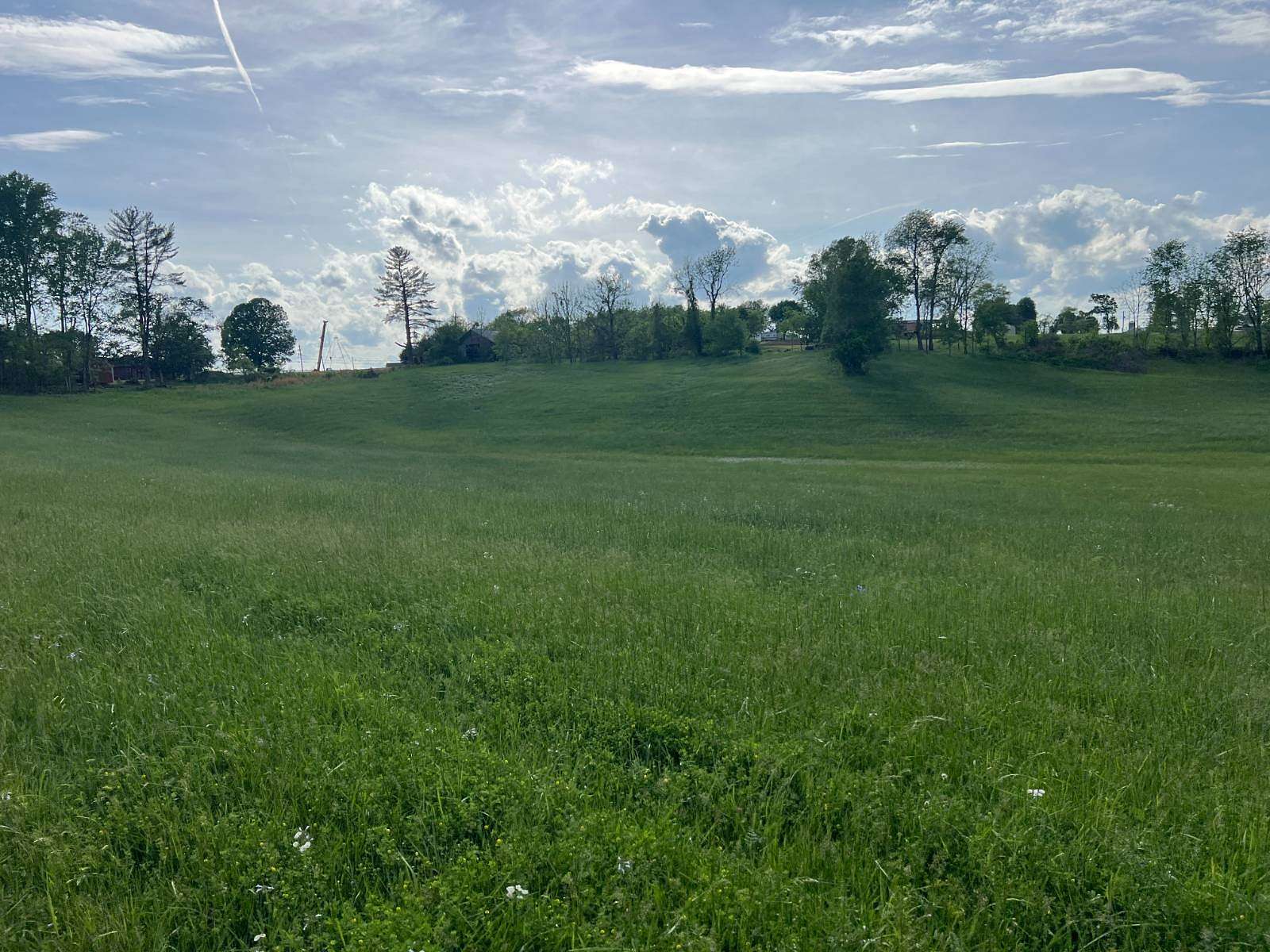 28 Acres of Agricultural Land for Sale in Albany, Kentucky