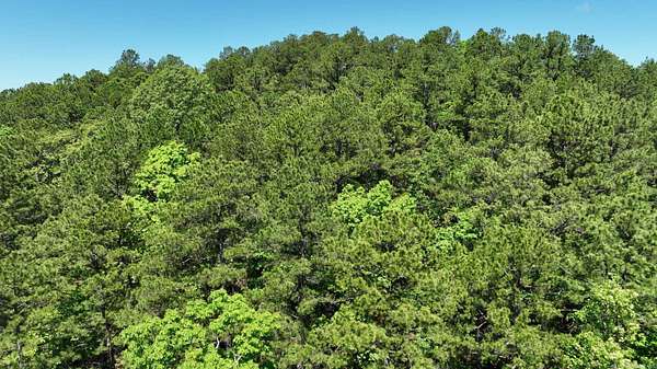 10 Acres of Residential Land for Sale in Mena, Arkansas