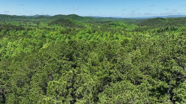 10 Acres of Residential Land for Sale in Mena, Arkansas
