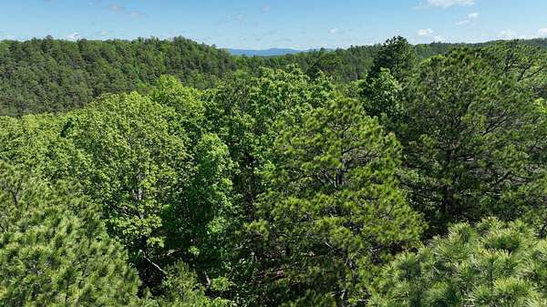 10 Acres of Residential Land for Sale in Mena, Arkansas