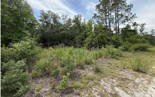 4 Acres of Residential Land for Sale in O'Brien, Florida