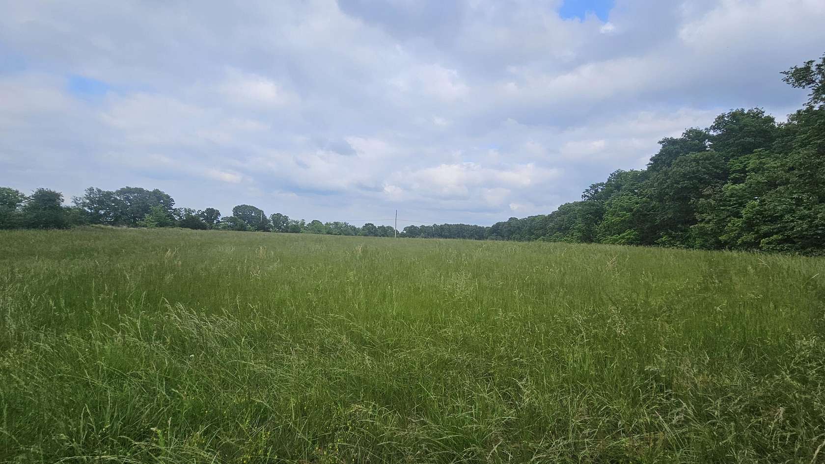 80 Acres of Recreational Land & Farm for Sale in Norwood, Missouri