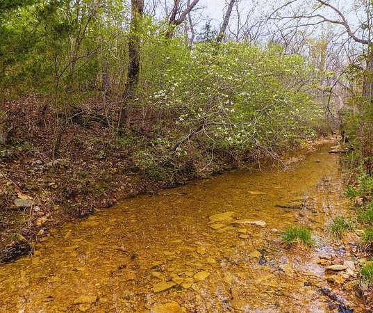 26.3 Acres of Recreational Land for Sale in Willow Springs, Missouri