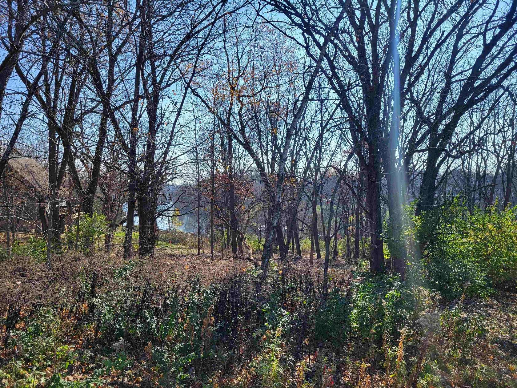 0.37 Acres of Land for Sale in Apple River, Illinois