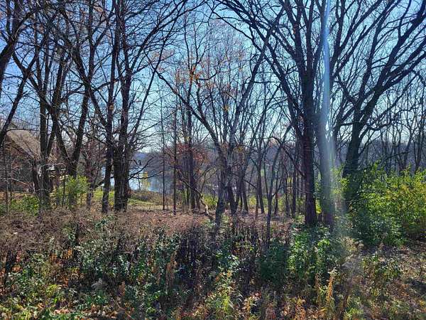 0.37 Acres of Land for Sale in Apple River, Illinois