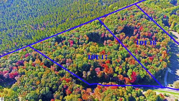 5 Acres of Land for Sale in Williamsburg, Michigan