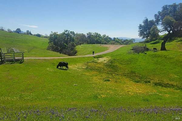 1,259 Acres of Recreational Land & Farm for Sale in Geyserville, California