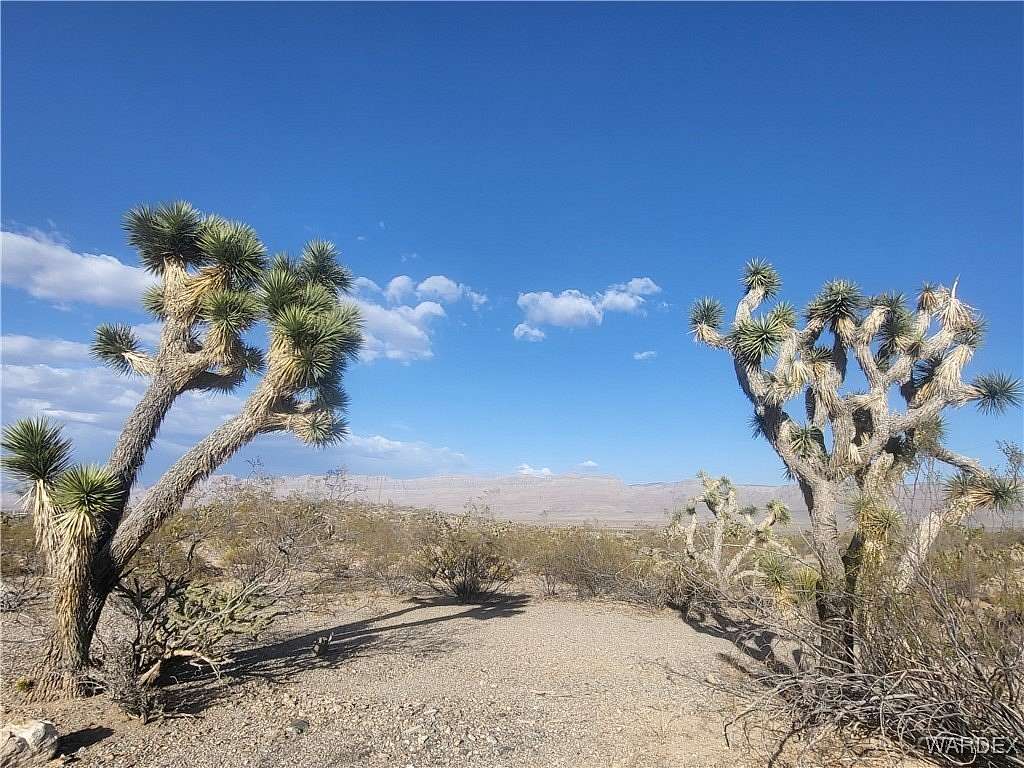1 Acre of Land for Sale in Meadview, Arizona