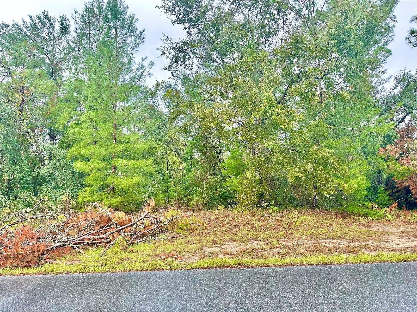 0.23 Acres of Residential Land for Sale in Ocala, Florida