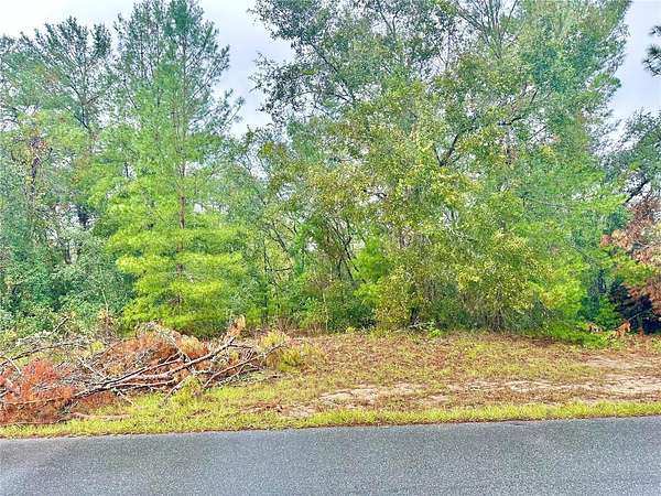 0.23 Acres of Residential Land for Sale in Ocala, Florida
