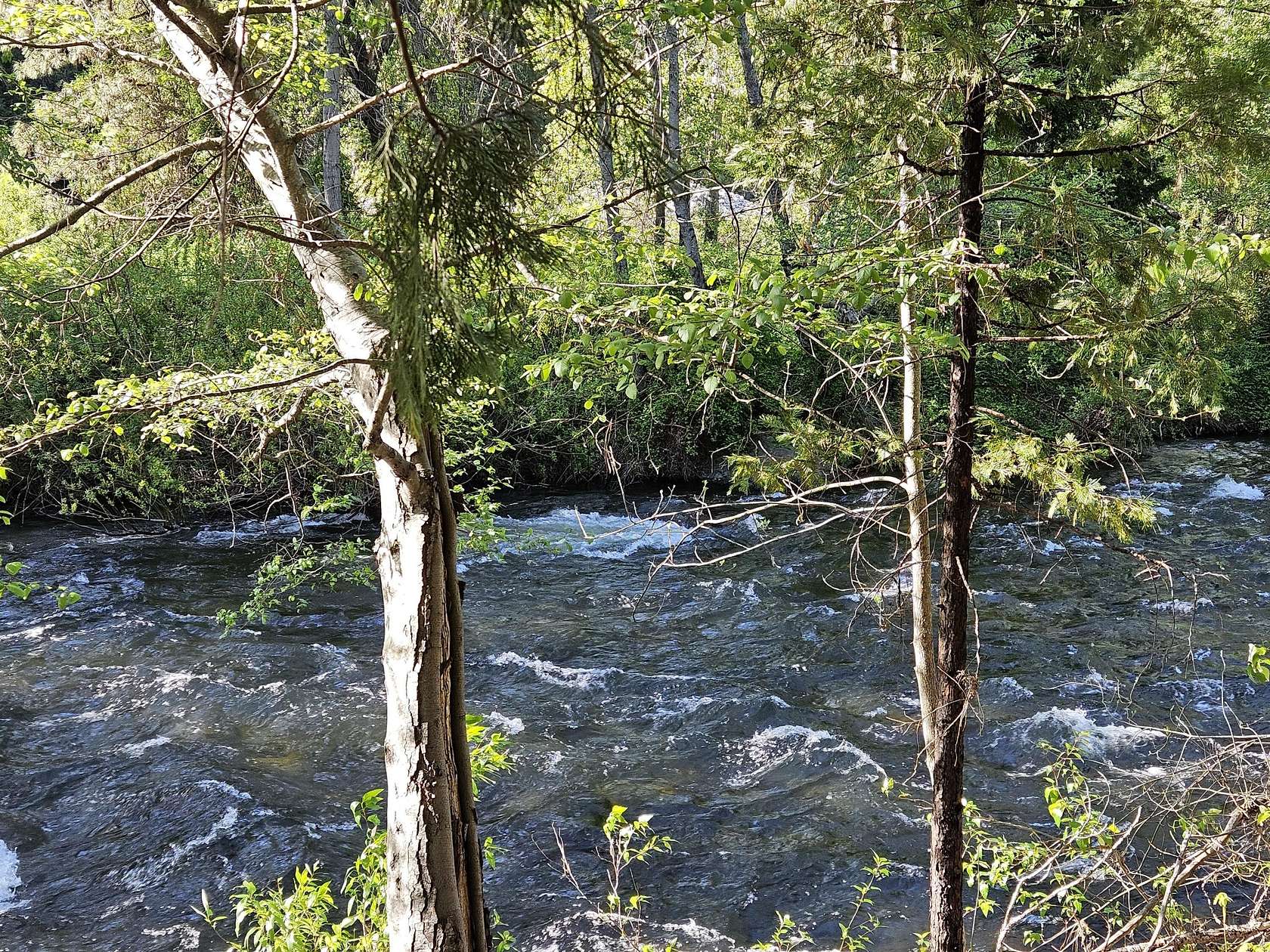 1.57 Acres of Land for Sale in Dunsmuir, California