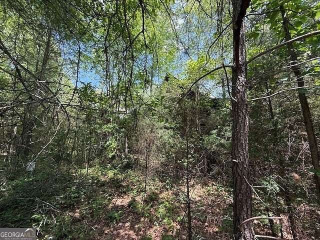 162 Acres of Recreational Land for Sale in Carnesville, Georgia