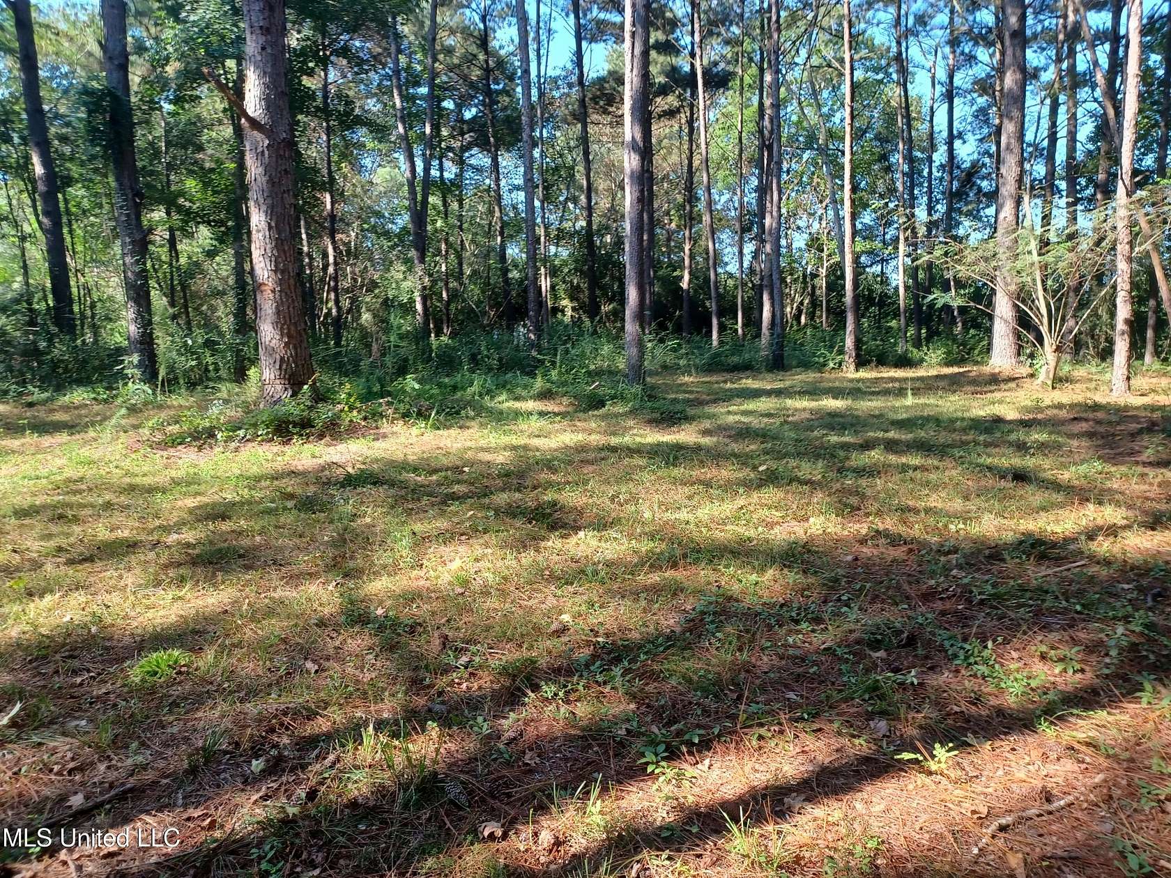 0.57 Acres of Land for Sale in Lumberton, Mississippi