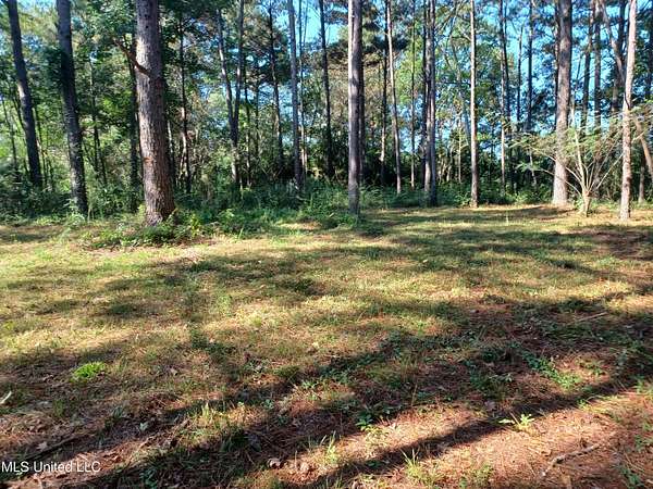 0.57 Acres of Land for Sale in Lumberton, Mississippi