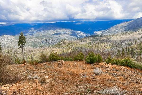 228 Acres of Recreational Land for Sale in Wawona, California