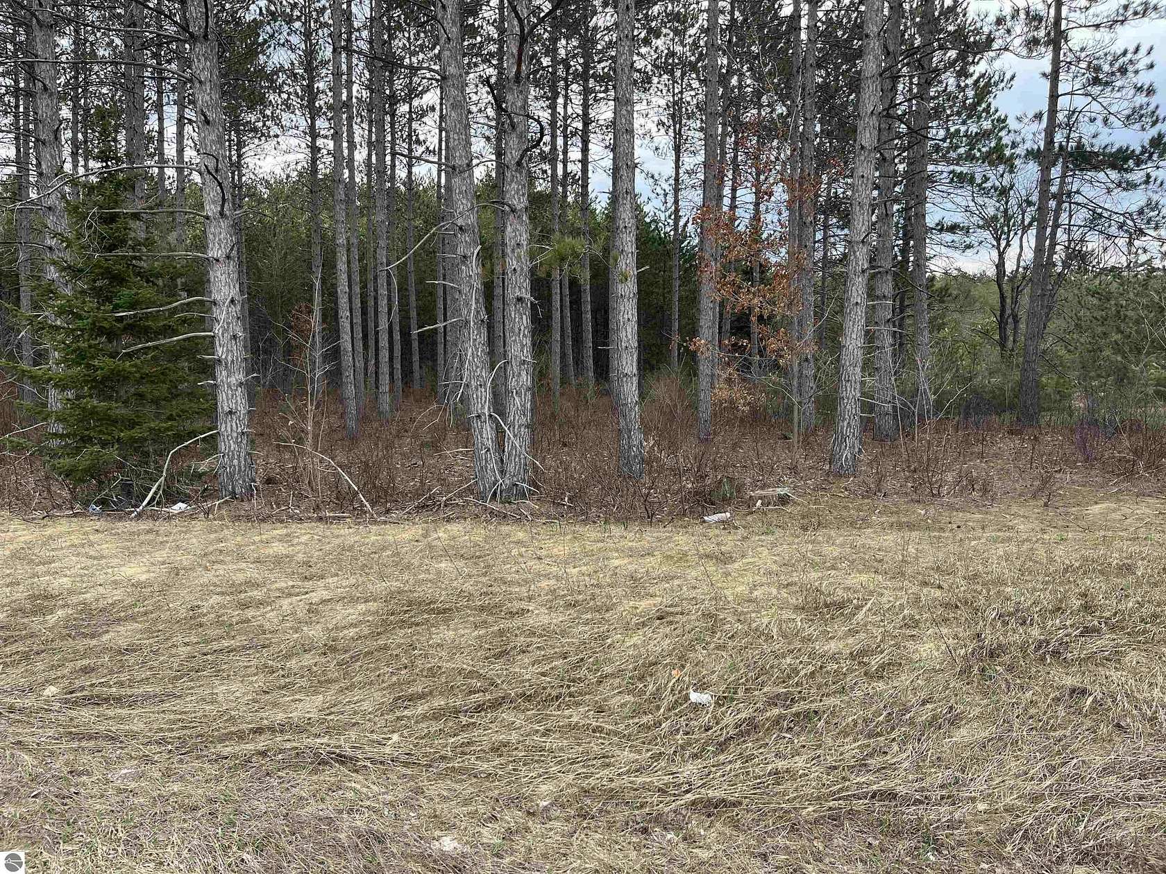 4.17 Acres of Commercial Land for Sale in Kalkaska, Michigan