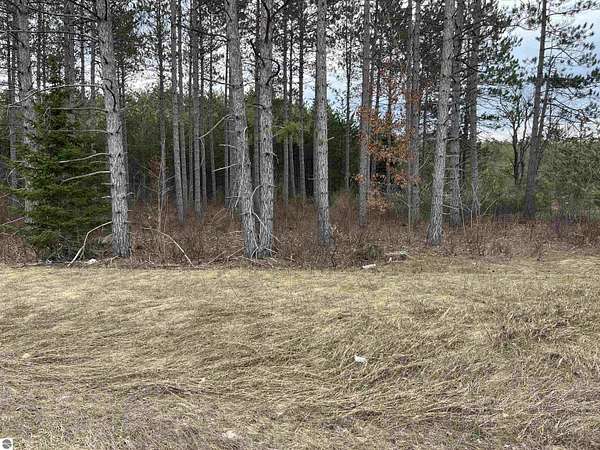 4.17 Acres of Commercial Land for Sale in Kalkaska, Michigan