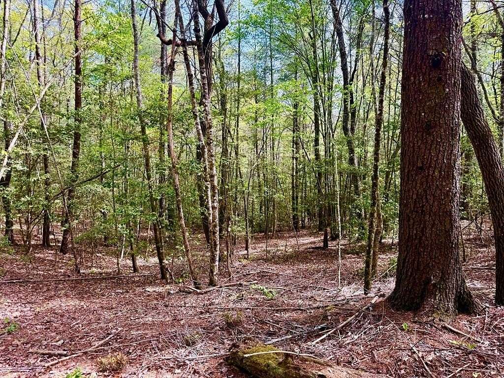 2 Acres of Land for Sale in Murphy, North Carolina