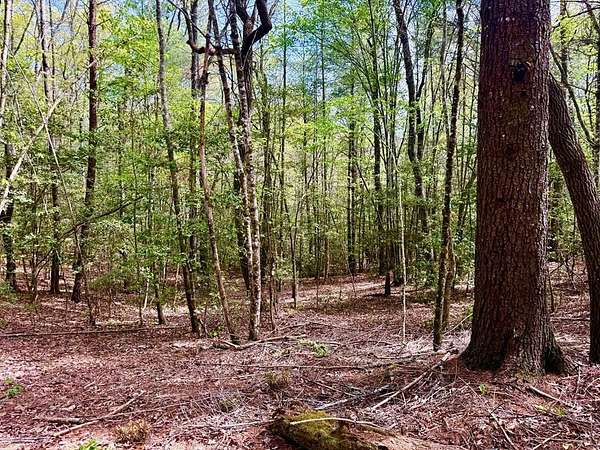 2 Acres of Land for Sale in Murphy, North Carolina