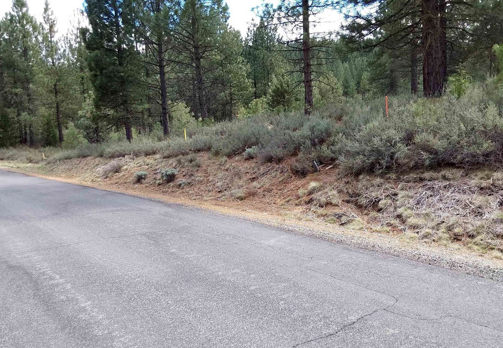 0.42 Acres of Residential Land for Sale in Portola, California