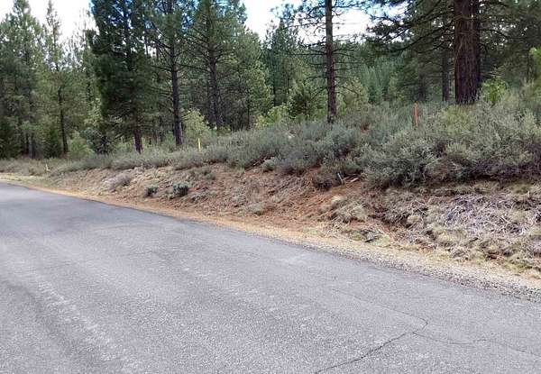 0.42 Acres of Residential Land for Sale in Portola, California