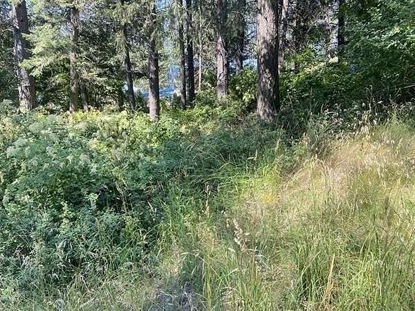 0.14 Acres of Residential Land for Sale in Loon Lake, Washington