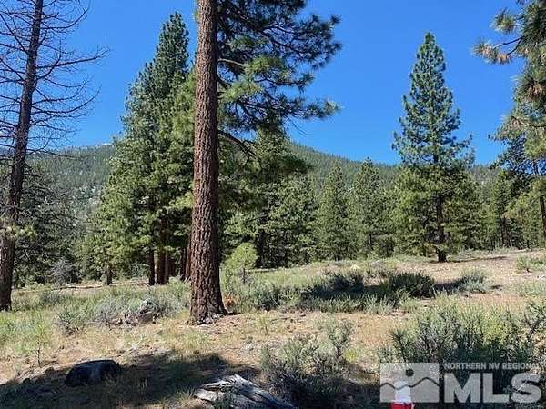 0.69 Acres of Residential Land for Sale in Carson City, Nevada