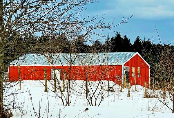 10.2 Acres of Land for Sale in Onekama, Michigan