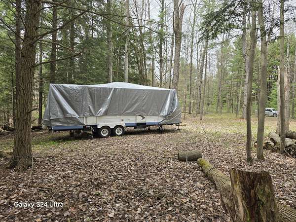 19.9 Acres of Recreational Land for Sale in Blanchard, Michigan
