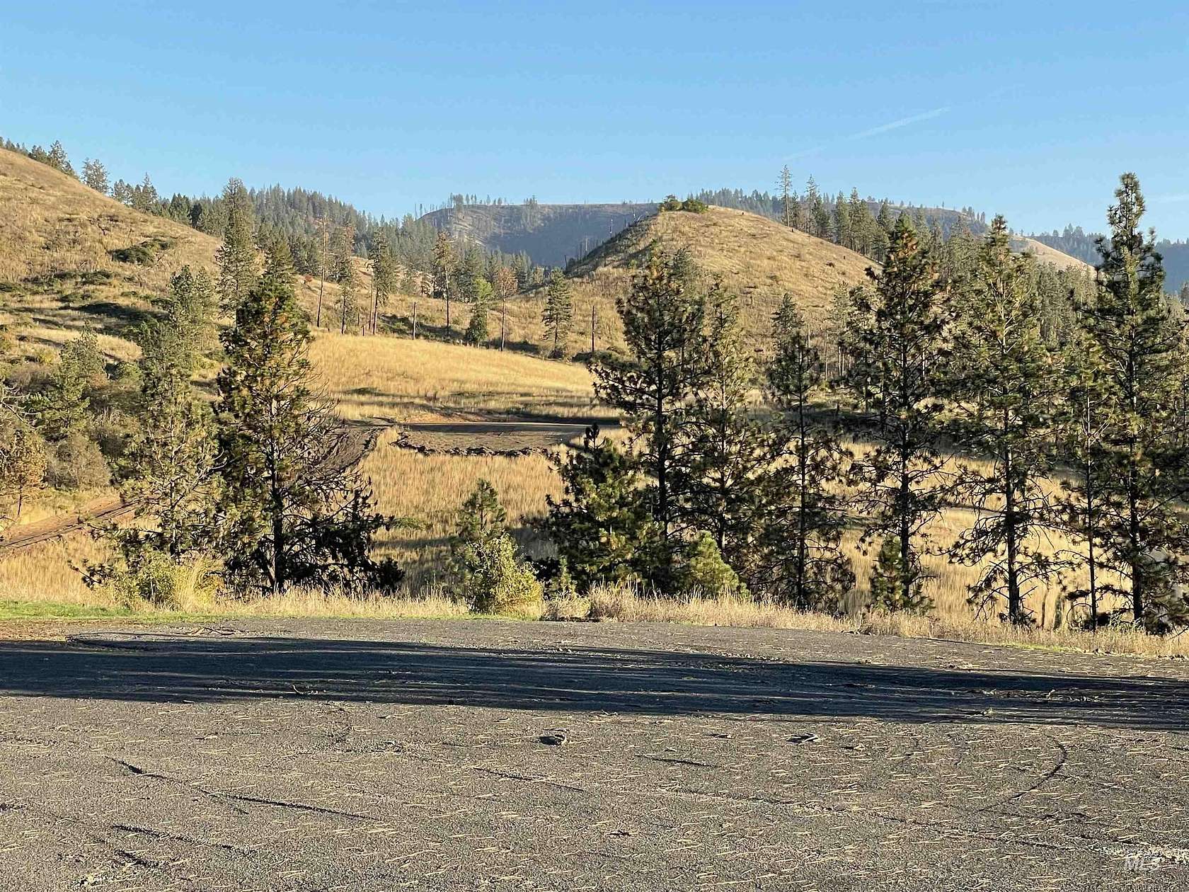 12 Acres of Land for Sale in Kamiah, Idaho