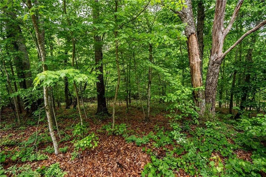 0.33 Acres of Residential Land for Sale in Gainesville, Georgia