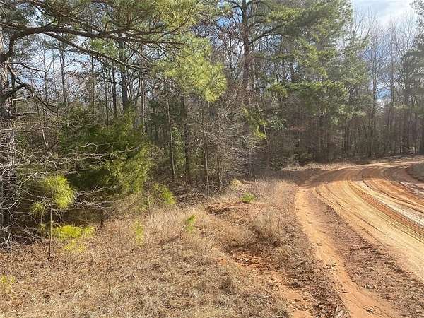 39 Acres of Recreational Land for Sale in Marietta, Texas