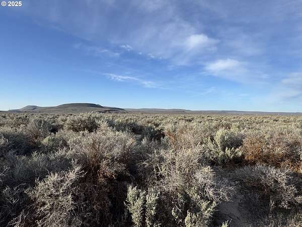 40 Acres of Recreational Land for Sale in Summer Lake, Oregon