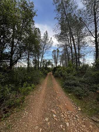 60 Acres of Land for Sale in Oak Run, California