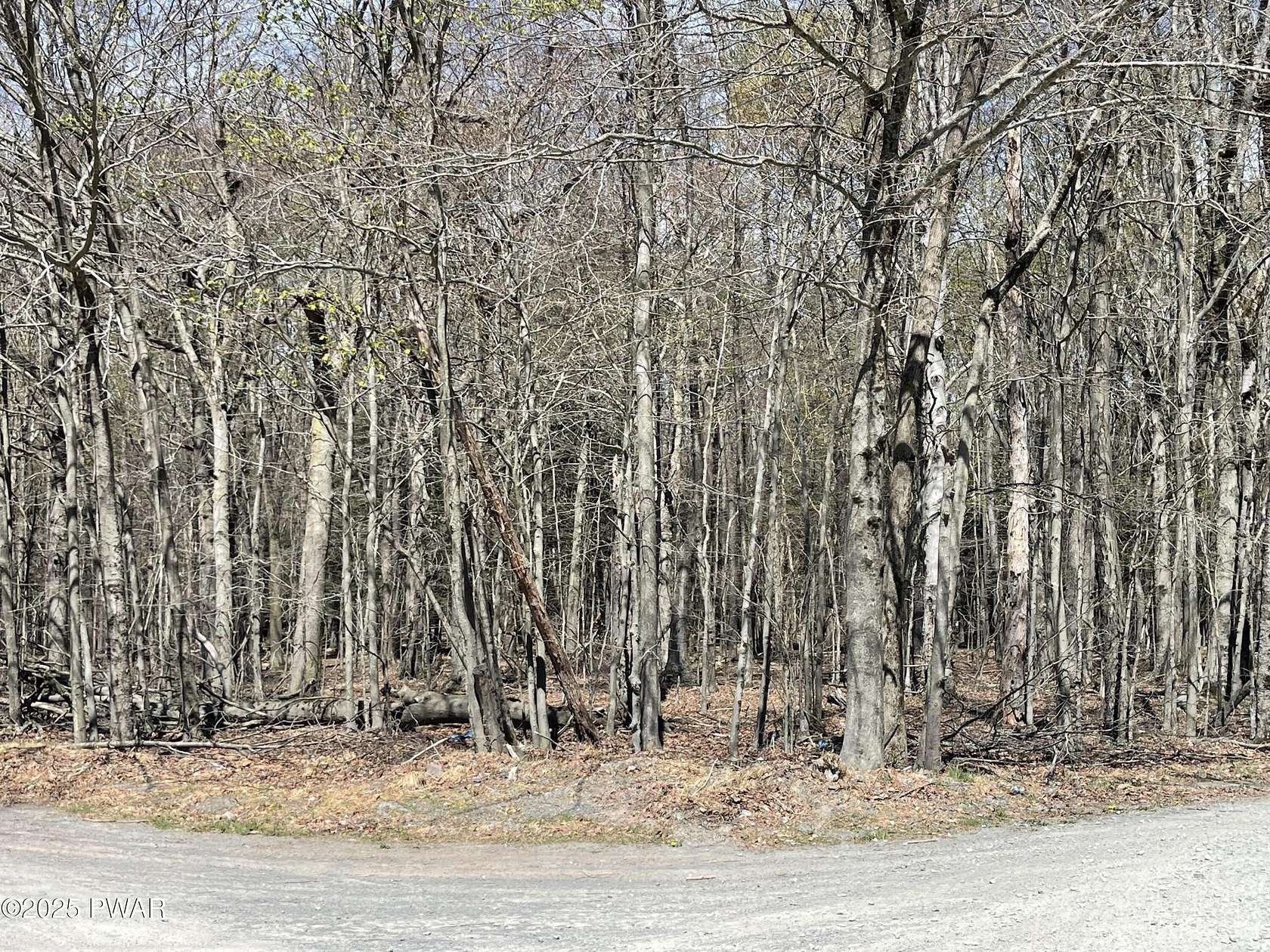 1 Acre of Residential Land for Sale in Greentown, Pennsylvania