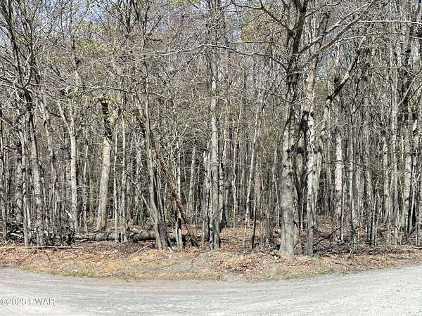 1 Acre of Residential Land for Sale in Greentown, Pennsylvania